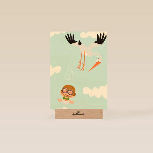 geboorte zoon ooievaar baby grappig