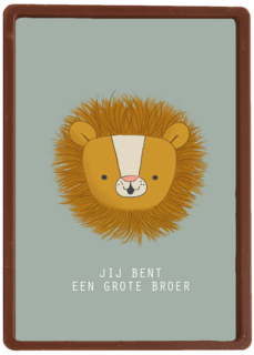 geboorte broer jij bent een grote broer
