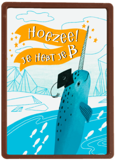 zwemdiploma kaart hoezee je hebt je b