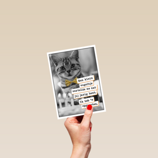 Vogel Poes  verjaardag