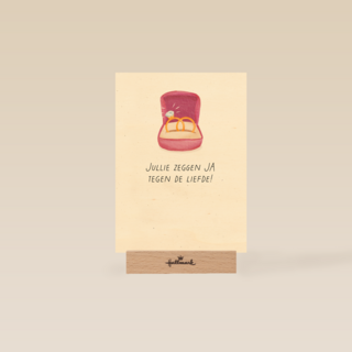 Jullie zeggen ja tegen de liefde verloving