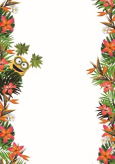 minions cool hartelijk gefeliciteerd