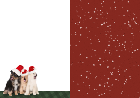 Kerstmis Honden Met Kerstmuts