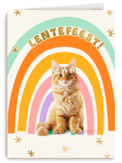Regenboog Kat Lentefeest