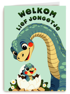 Geboorte Welkom Lief Jongetje