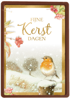 Kerstkaart marjolein bastin winter roodborstje