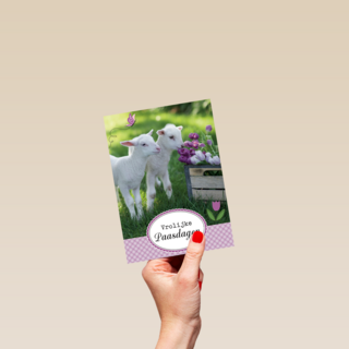 lammetje bloem pasen
