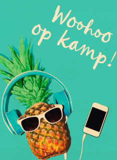 woohoo op kamp ananas woohoo op kamp ananas