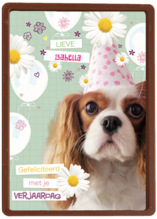 prodo dieren lieve gefeliciteerd met je verjaardag