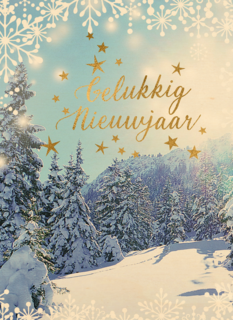 nieuwjaarskaart klassiek sneeuwlandschap