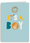 Leeuw it is a boy