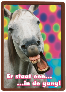 paard gang carnaval