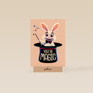 Folio You Are Magic