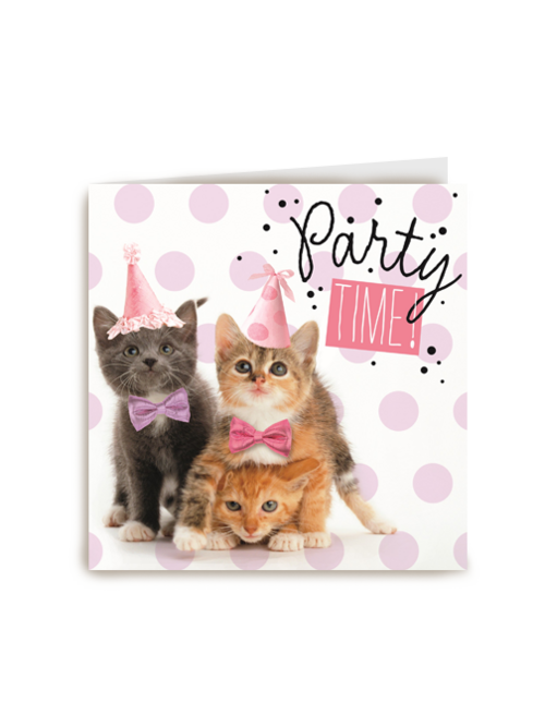 party time met poesjes