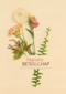 botanical kaart beterschap met een bloemetje