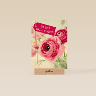 Beterschapskaart operatie Een goed herstel gewenst