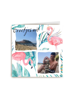 fotokaart groetjes uit flamingos