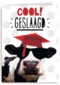 examen cool geslaagd koe