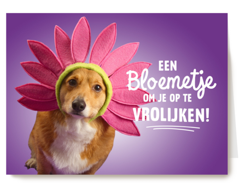 een bloemetje om je op te vrolijken
