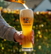 Weihenstephaner Hefeweizen 3x50 cl Bier Giftset Inclusief Bierglas 