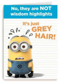 not wisdom highlights minion
