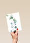 blanco condoleancekaart met plant