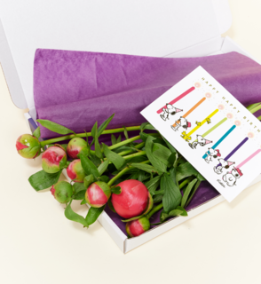 Brievenbusbloemen Pioenrozen Roze