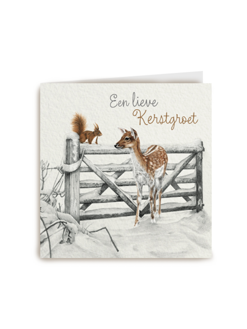 kerstkaart een lieve kerstgroet