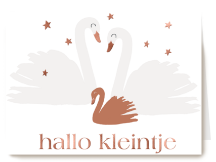 hallo kleintje met zwanen