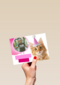 fotkaart met feestlijke kat