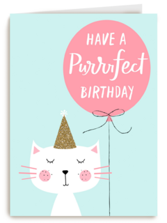 have a purrrfect birthday