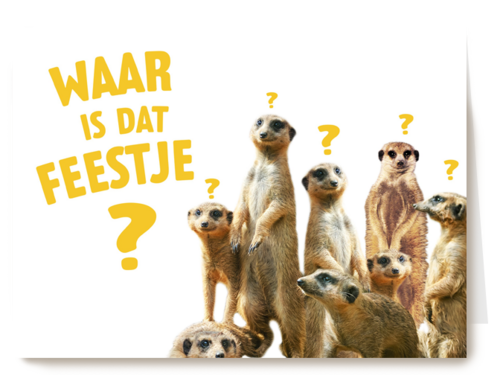 waar is dat feestje met stokstaartjes