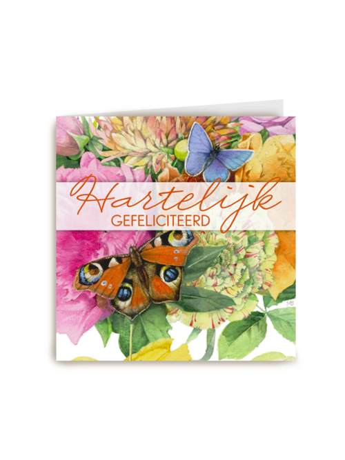 een kleurrijke felicitatie met vlinders