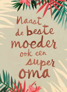 naast de beste moeder ook een superoma