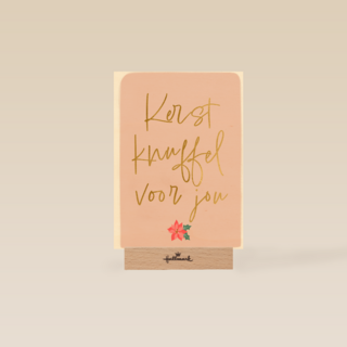 Kerst knuffel voor jou!