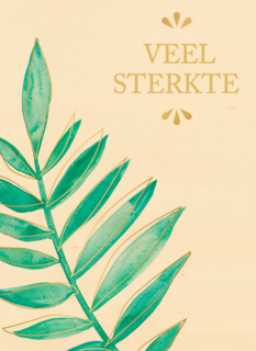 Sterktekaart algemeen Veel sterkte