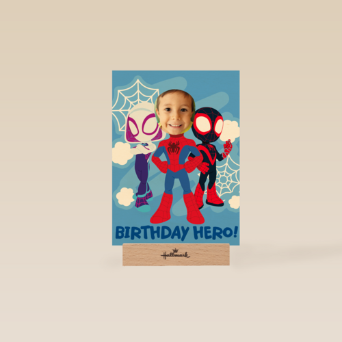 Birthday hero spidey and friends