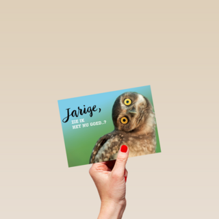 animal fiesta jarige zie ik het nu goed