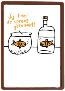 je hebt de sprong gemaakt