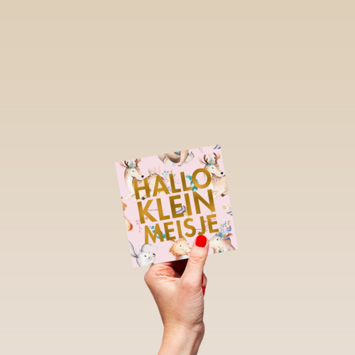 hallo lief klein meisje