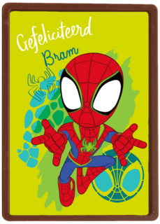 Gefeliciteerd Spidey and Friends