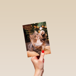 Prettige kerst en gelukkig nieuwjaar kat