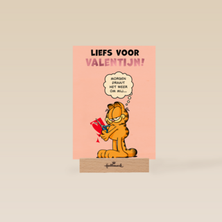 Garfield Liefs voor Valentijn