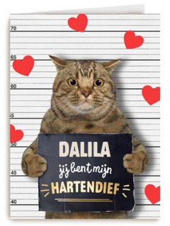 valentijn kaart kat grappig jij bent mijn hartendief