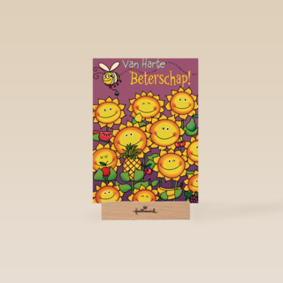 beterschap zonnebloem