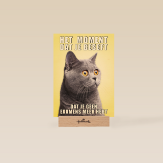 Geslaagd kaart Kat grappig