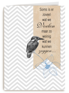 soms is er zoveel wat we voelen