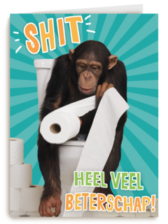 Beterschapskaart Grappig Shit heel veel beterschap
