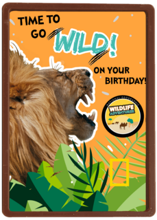 verjaardag kaart time to go wild