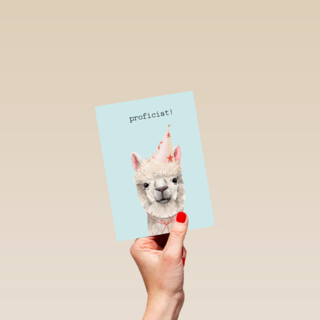 Verjaardag kaart hip happy birthday lama alpaca